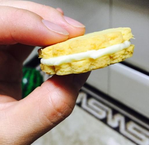心灵的黑匣子 一块香橙乳酪夹心饼干